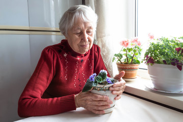 Portrait of smiling senior woman