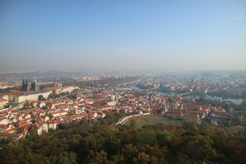 aerial view of the city