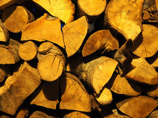 Troncos cortados iluminados con una luz cálida. Fondo de troncos.