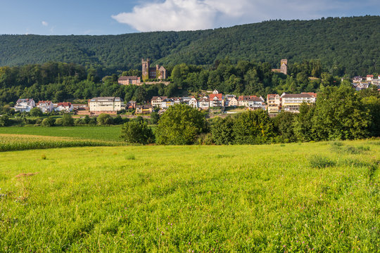 Blick auf Neckarsteinach im wundersch&ouml;nen Neckartal, Baden-W&uuml;rttemberg, Germany