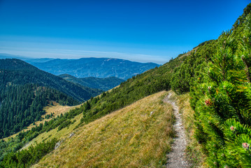 Fototapeta na wymiar beautiful mountain range in the mountains summer on a small road between Zilina and Velky Krivan,