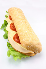 chicken sandwich, cheese and raw vegetables on a white background