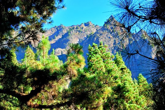 Caldera de Taburiente, Natural Parck in La Palma