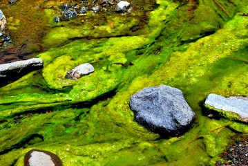 Caldera de Taburiente, Natural Park