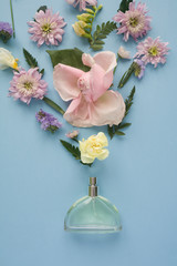 Flower arrangement. Flowers, fragrance, perfume on blue background.