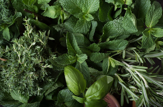  Fresh herbs. Basil, rosemary, thyme, mint, dill.