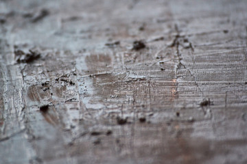 Oil paintings texture in high resolution. Modern art