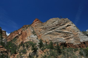 Zion National Park - Checkerboard Mesa -Utah, USA