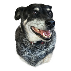 Portrait of Dog with a smile isolated on white background. Cute head of a puppy. Animal art collection: Dogs. Hand Painted Illustration of Pet. Design template. Good for print on pillow, T shirt