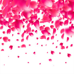 Naklejka na ściany i meble Pink falling petals of roses. Sakura flower pastel texture background.