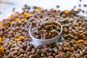 Dry pet food in a white ceramic bowl