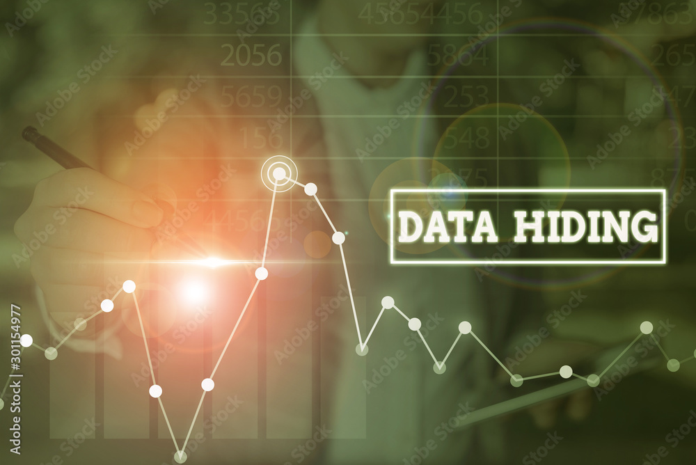 Poster word writing text data hiding. business photo showcasing secretly embedding data in graphics images 
