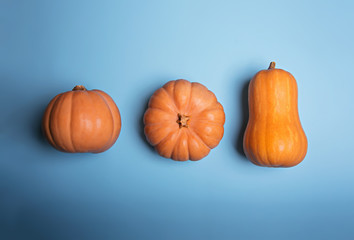 Three pumpkins different forms lay on a light blue background.