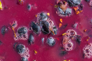 Wine material, grape juice - must, stum, maun. Technology of wine production in Moldova. The folk tradition of making wine. The ancient tradition of grape processing.