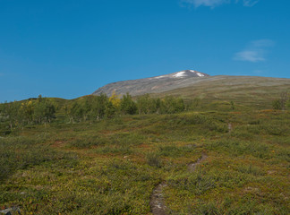 Footpath to peak of mountain Sanjartjakka with Beautiful wild Lapland nature landscape with birch tree forest. Blue sky background