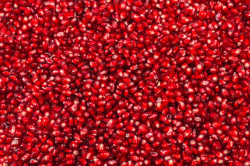 Christmas decoration, red ball isolated on white background.