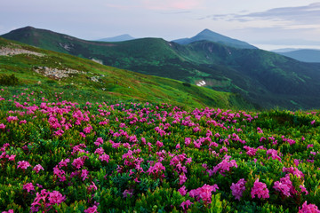 Majestic Carpathian mountains. Beautiful landscape. Breathtaking view