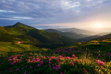 Fototapeta na wymiar Sun setting on the horizon. Majestic Carpathian mountains. Beautiful landscape. Breathtaking view