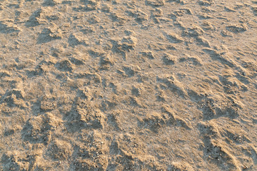 Texture of drying sand