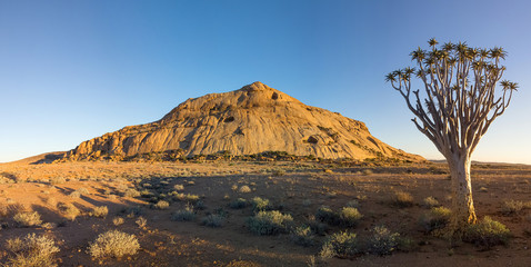 Blutkuppe camping site and quiver tree in Namibia