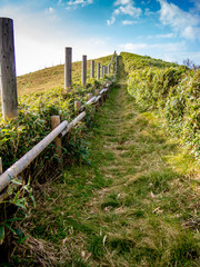 【静岡県伊豆半島】伊豆山稜線歩道からの風景【秋・仁科峠付近】
