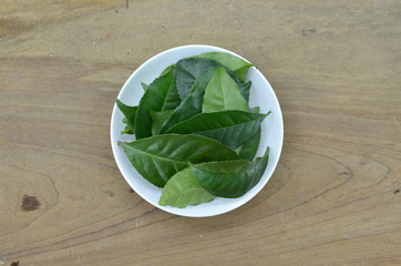 White plate with Fresh tea leaves on wooden background