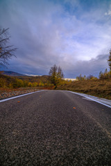 Fototapeta premium mountain road during autumn on a cloudy day