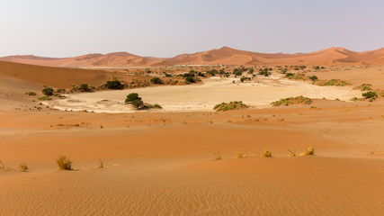 Fototapeta na wymiar panorama on the Sossusvlei side near Sesriem, Namibia