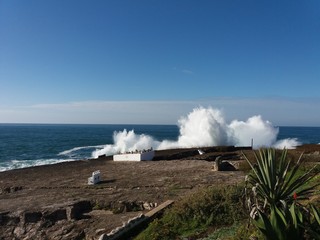 beach and sea