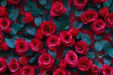 Artificial roses glued to the wall. Beautiful background of their bright red flowers