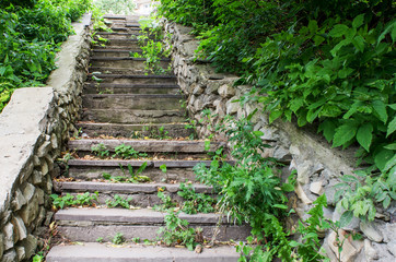 The image old stone stairs in the Park, overgrown with bushes and grass.