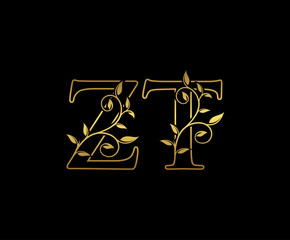 Golden letter Z and T, ZT vintage decorative ornament emblem badge, overlapping monogram logo, elegant luxury gold color on black background.