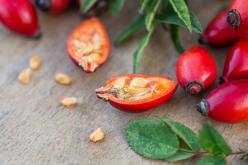 Freshly picked rose hips. Rose hip or rosehip, commonly known as the dog rose