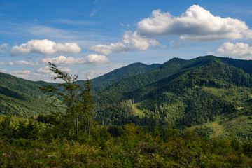 Beautiful landscape in Carpathian Mountains, Lviv region, Ukraine.