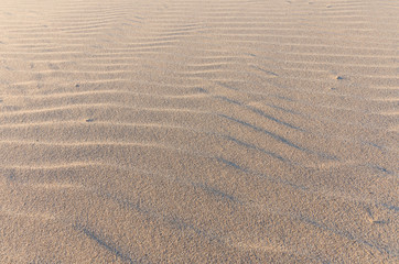 San wave in the morning