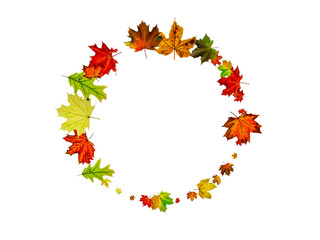 Autumn leaves background. October falling pattern isolated on white. Thanksgiving concept