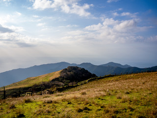 【静岡県伊豆半島】伊豆山稜線歩道からの夕景【秋・仁科峠付近】