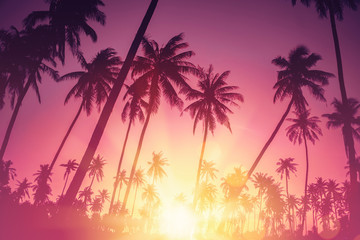 Tropical palm tree with colorful bokeh sun light on sunset sky cloud abstract background. - obrazy, fototapety, plakaty