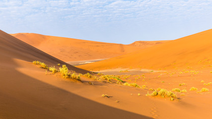Fototapeta na wymiar Approaching Deadvlei and Sossusvlei from the ridge of the dunes, Namibia