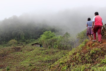 Fototapeta premium Indigenous farmers that cultivate milpa in the mountains (Guerrero, Mexico)