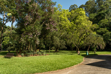 A beautiful scene of nature in a public park