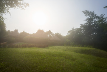 morning with hut and small green yard and fog