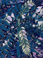 abstract background with colourful pattern of leaves