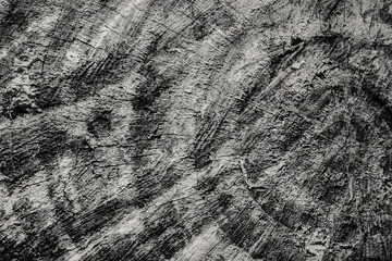 Textura de madera en blanco y negro