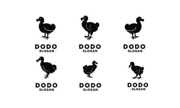 set of dodo bird logo black icon design vector