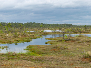 : landscape, water, nature, sky, lake, river, blue, tree, view, reflection, pond, 