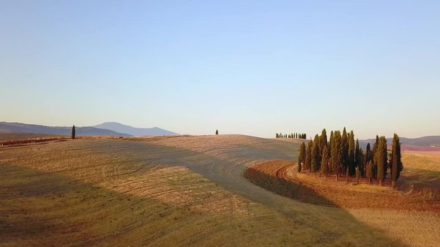 Cipressi toscana
