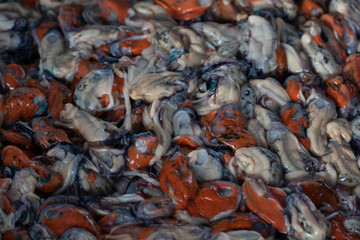 Shelled mussels and put the pile together to prepare for cooking.