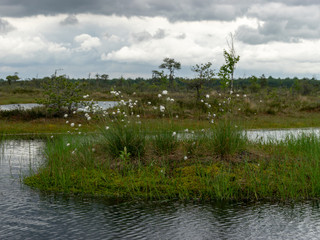: landscape, water, nature, sky, lake, river, blue, tree, view, reflection, pond, 