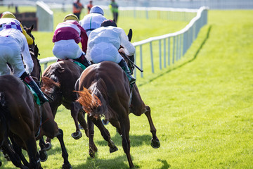 Horse racing action, view from behind  of race horses and jockeys spinting towards the finish line